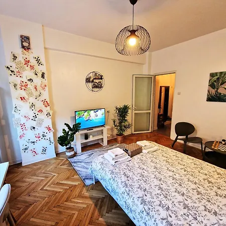 Warm Haven - Calea Victoriei - Free Minibar Апартаменты *